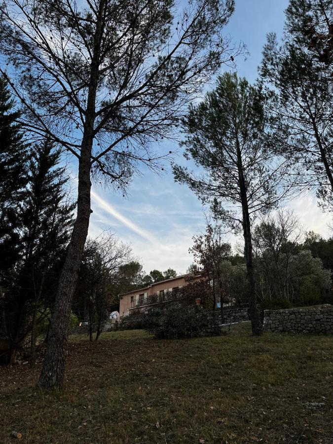 Natur & Jasmin Chambres D'Hotes Naturistes En Provence Lorgues Eksteriør bilde