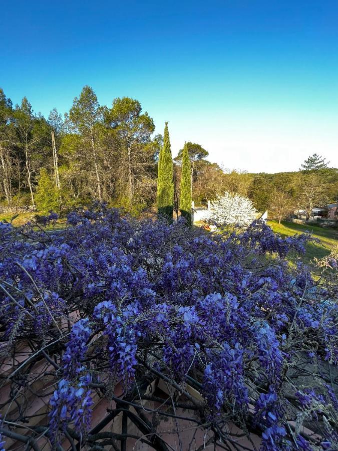 Natur & Jasmin Chambres D'Hotes Naturistes En Provence Lorgues Eksteriør bilde