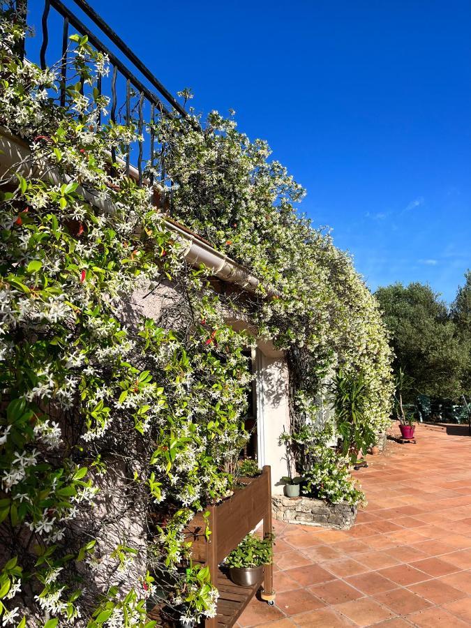 Natur & Jasmin Chambres D'Hotes Naturistes En Provence Lorgues Eksteriør bilde